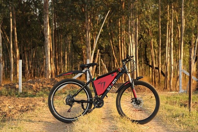 Can A 750W EBike Handle Off-road Trails?