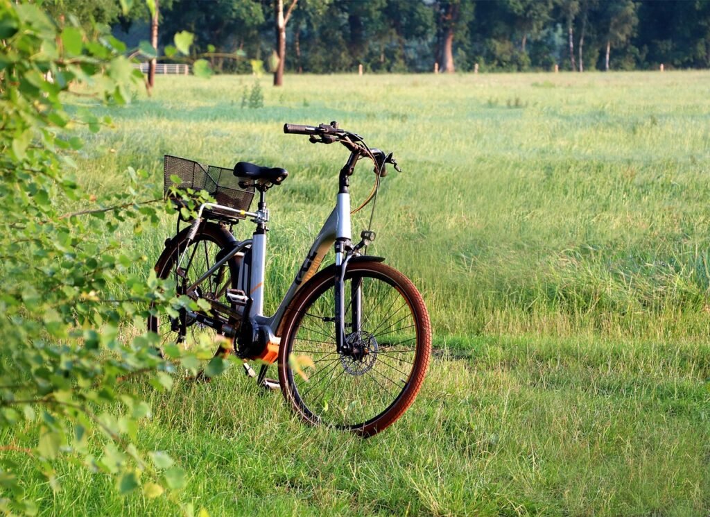 Whats The Difference Between Electric Bikes And Traditional Bikes?